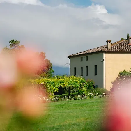 Couette-café Dimora Divino 3*